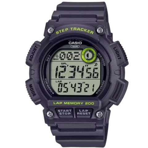 Zegarek Casio WS-2100H-8AVDF