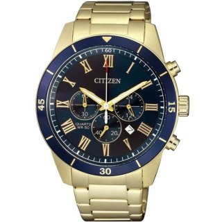 Zegarek Citizen AN8169-58L