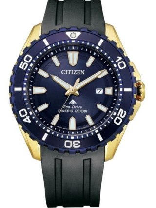 Zegarek Citizen BN0196-01L